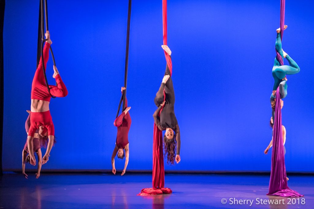 Two New Spring Performance Classes!  Performance Lab & Repertory: Hammock/Dance Trapeze